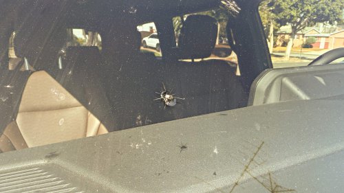 Toyota Land Cruiser Yearlong Test Update: It Needs a Windshield Budget