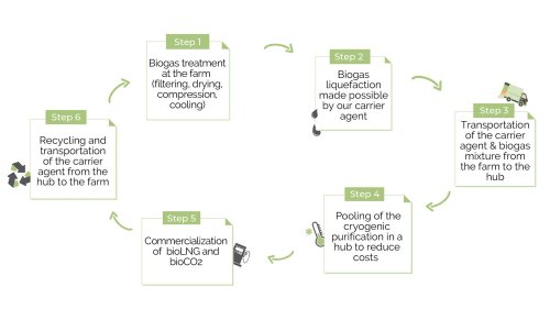 Next-Best Thing to a Cow-Gas Catalyst?