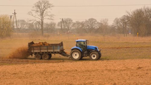 Next-Best Thing to a Cow-Gas Catalyst?