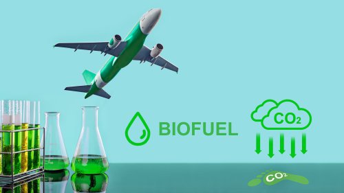 Next-Best Thing to a Cow-Gas Catalyst?