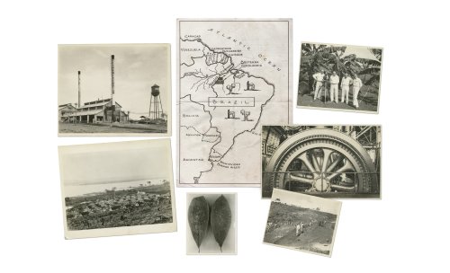 Ford, Brazilian Court Orders Nation to Restore Fordlandia, Henry Ford's Amazon Ghost Town