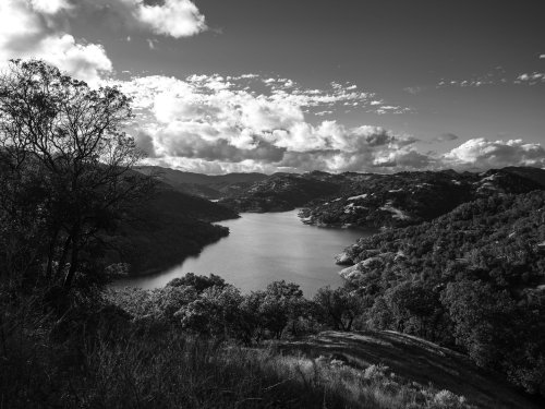 2026 Performance Car of the Year: Best Sports Car of 2026 Reveal