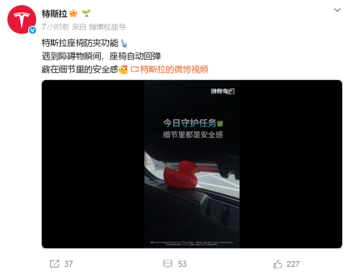 Tesla, Tesla Anti-Pinch Video Seen as Subtle Swipe at Huawei-Backed Stelato S9