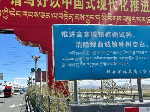 2025 China NEV City Dead Zones Report: 8 in Nagqu, 190,000 in Suzhou