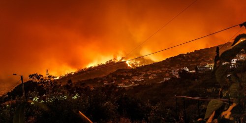 Trump's dumb idea to tariff Canada over smoke could set a useful precedent