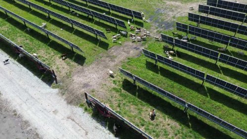 Do wind and solar farms tank home values? A 20-year study has an answer
