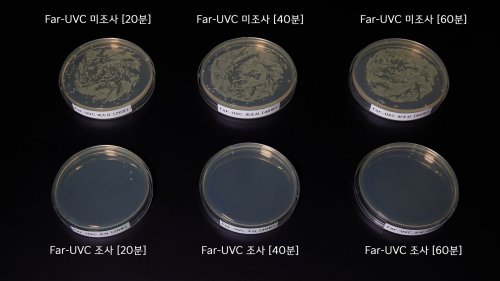 Hyundai, Kia, Hyundai and Kia test 'world's first' in-car sanitization tech in the PV5