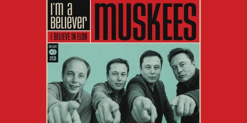 Survey Sunday: do you still believe in Elon Musk?