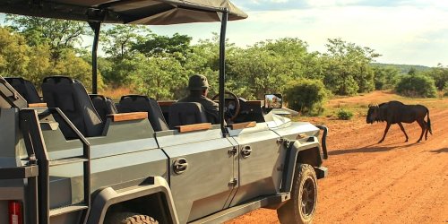 Sneaky safari: Thula electric 4x4 gets you closer to nature [video]