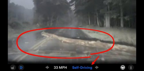 Watch Tesla FSD v14 Lite drive over a giant log without stopping