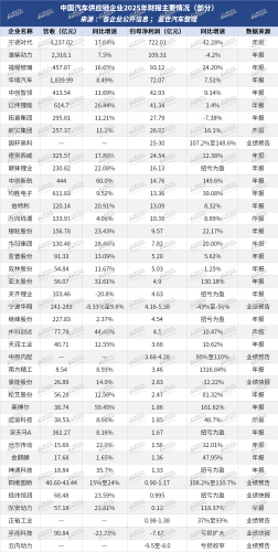 Auto parts suppliers all complain about hard times, so who is making the money?