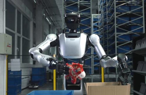 Why Does the Battle to Deploy Embodied Robots Start in Warehouses?