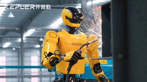 Countdown to Shakeout? Humanoid Robots Spark 