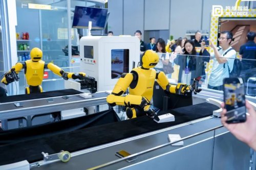 From "Imagining the Future" to "Getting the Work Done," How Far Are World Models?