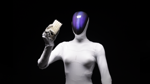 "Autonomous Driving Professionals" Crowd the Embodied Robot Table