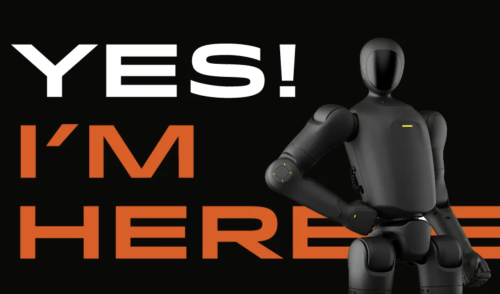 Countdown to Shakeout? Humanoid Robots Spark 