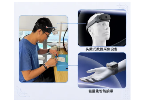 Seeds | SHOWEE secures tens of millions of yuan in Angel++ round financing