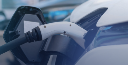 'White Oil' Makes a Full Recovery