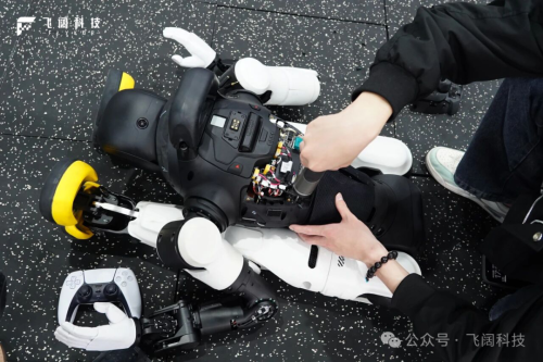 The Dream of 