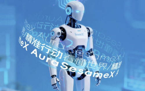 Black Sesame Technologies: A Decade of 