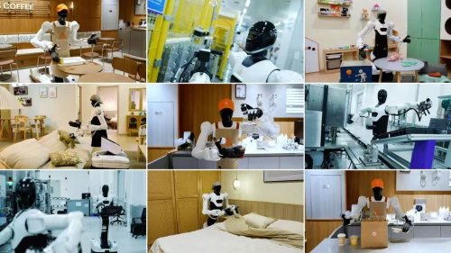 From "Imagining the Future" to "Getting the Work Done," How Far Are World Models?