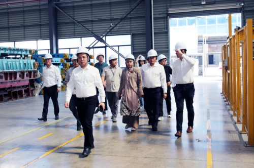 Five Years After Production Halted, Zotye Bets Its Fate on Overseas Markets