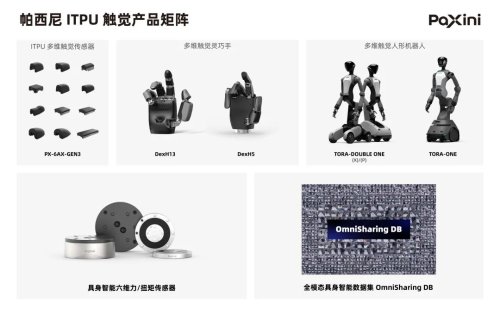 Embodied AI IPO Boom: Building Real Businesses or Riding the Hype?