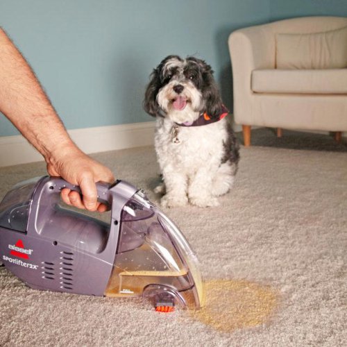 11 Carpet Cleaning Hacks All Homeowners Should Know