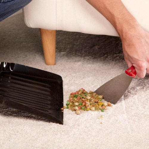 11 Carpet Cleaning Hacks All Homeowners Should Know