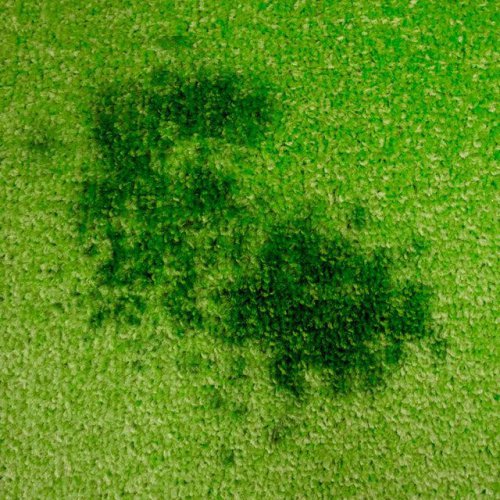 11 Carpet Cleaning Hacks All Homeowners Should Know