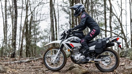 The Most Affordable Bike You Can Buy In 2025