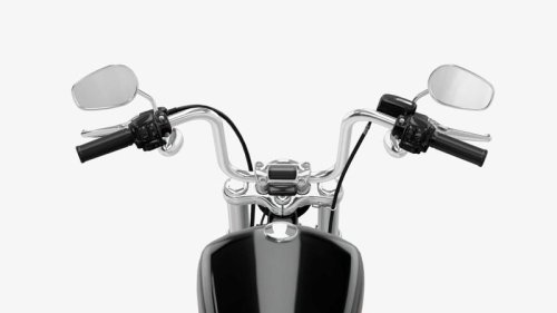 10 Reasons Why We Will Miss The Cheapest Harley-Davidson Softail