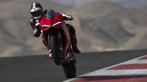10 bikes that prove you don’t have to choose between comfort and thrills