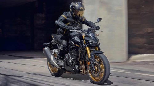 10 bikes that deliver premium features without premium pricing