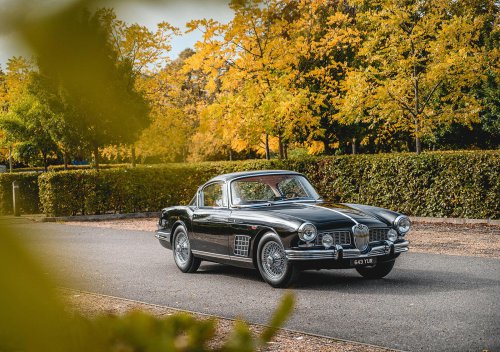 37 Glorious pictures of Glorious Jaguars