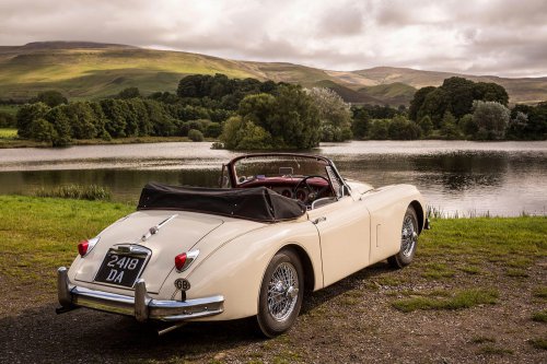 37 Glorious pictures of Glorious Jaguars