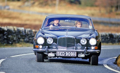 37 Glorious pictures of Glorious Jaguars