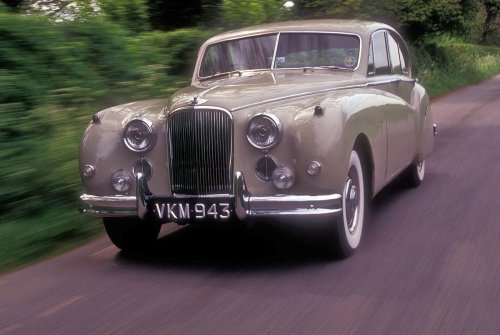 37 Glorious pictures of Glorious Jaguars