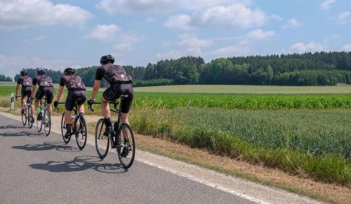 Un grupo de ciclistas se salta un ceda el paso en una rotonda y obliga a un conductor a frenar: ¿quién tiene razón?