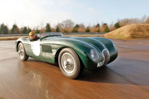 37 Glorious pictures of Glorious Jaguars