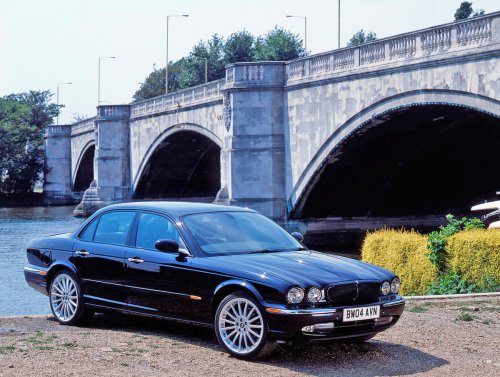 37 Glorious pictures of Glorious Jaguars