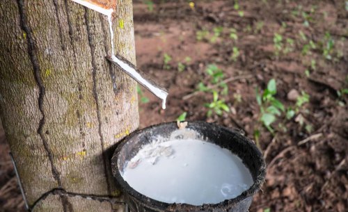 Secreto revelado: ¿para qué sirven realmente los ‘pelitos’ de los neumáticos nuevos?