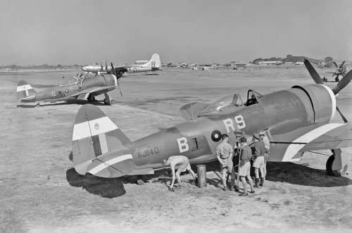 Nine things you need to know about the excellent P-47 Thunderbolt