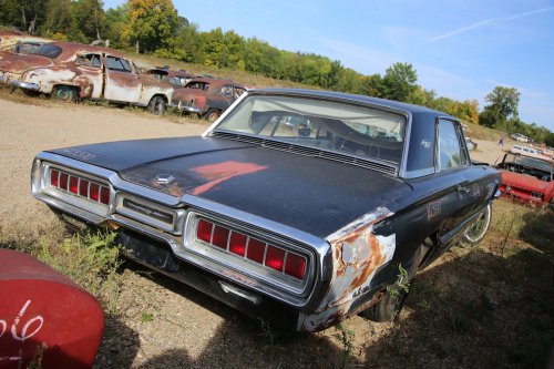 Final Junkyard Finds from French Lake Auto Parts, Annandale, Minnesota