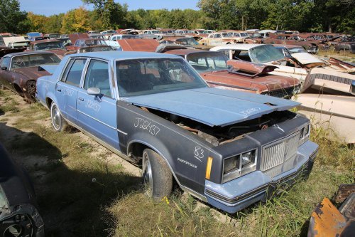 Final Junkyard Finds from French Lake Auto Parts, Annandale, Minnesota