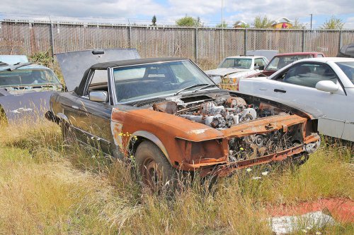 Los coches europeos más interesantes que hemos visto en desguaces estadounidenses
