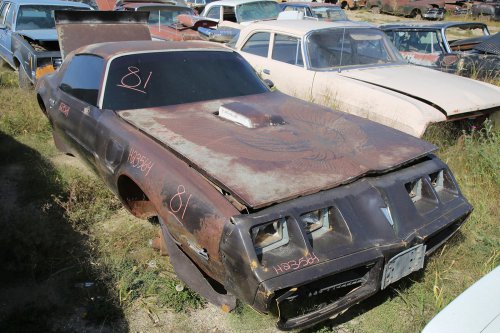 More Junkyard discoveries from French Lake Auto Parts, Annandale, Minnesota