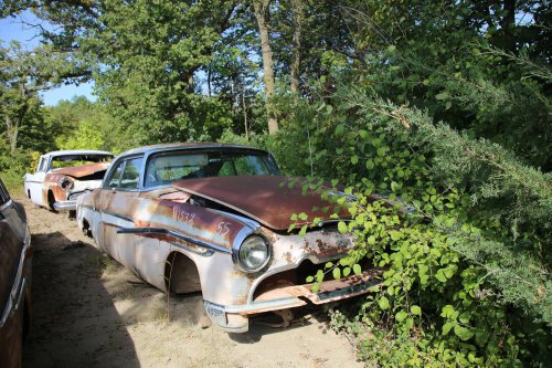 More Junkyard discoveries from French Lake Auto Parts, Annandale, Minnesota