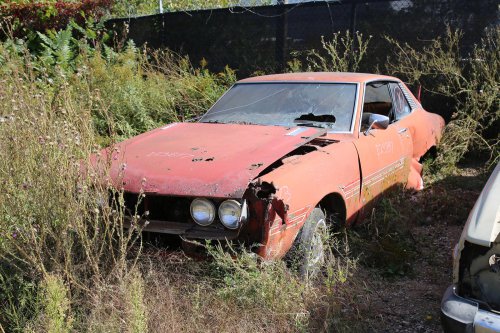 More Junkyard discoveries from French Lake Auto Parts, Annandale, Minnesota