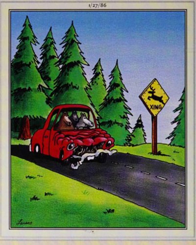 The Far Side's Worst Drivers Terrorize the Roads in These 10 Hilarious Comics